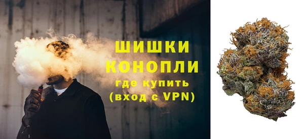 PSILOCYBIN Аркадак