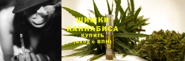 PSILOCYBIN Аркадак