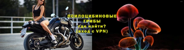 apvp Алексеевка