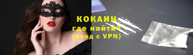 PSILOCYBIN Аркадак