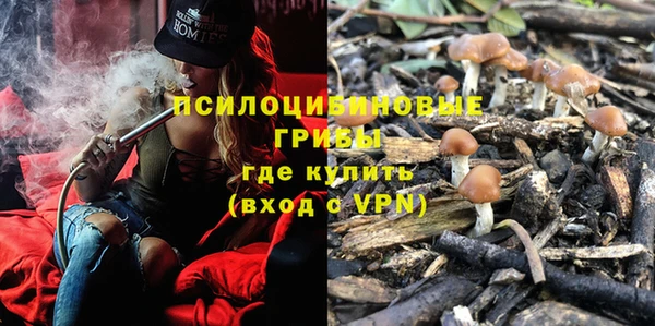 соль ск Арсеньев