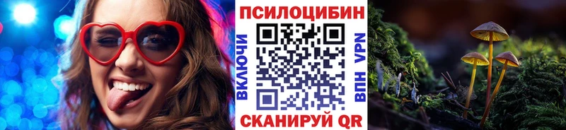 Псилоцибиновые грибы MAGIC MUSHROOMS  как найти наркотики  Валдай 
